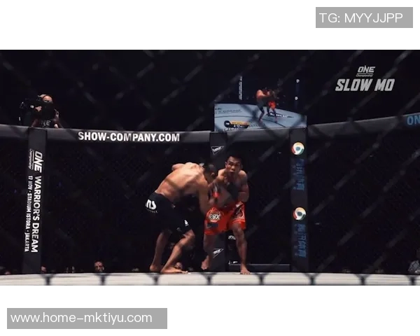 UFC狼人冰人与冰人对决的精彩瞬间与战术分析